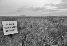 Marshland outside Dunwich