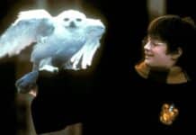 Harry Potter (Daniel Radcliffe) with Hedwig in Harry Potter and the Philiosopher's Stone 2001