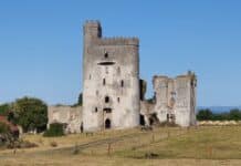 Ballyadams Castle