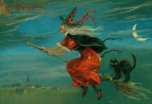 Witch on Broomstick - Witches Broom