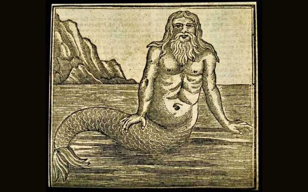 Was the Orford Wild Man a merman or something less fantastic?