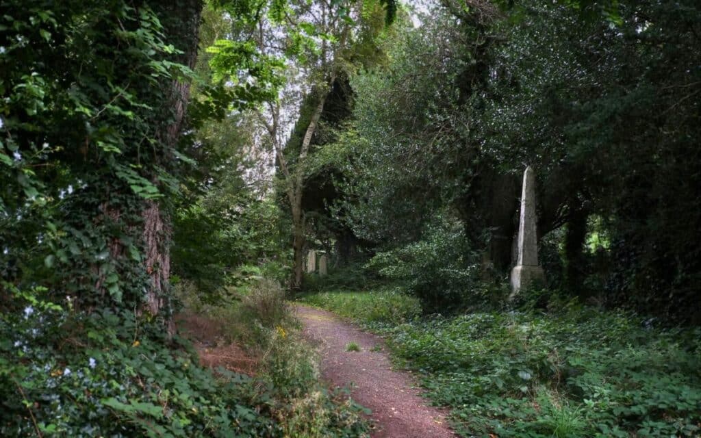 Image of Woodvale Cemetery in Brighton